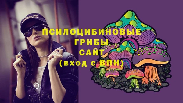 прущие крисы Дмитров