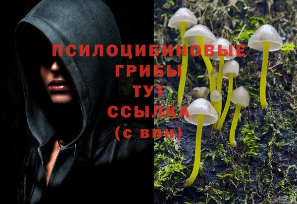 мяу мяу кристалл Дмитровск